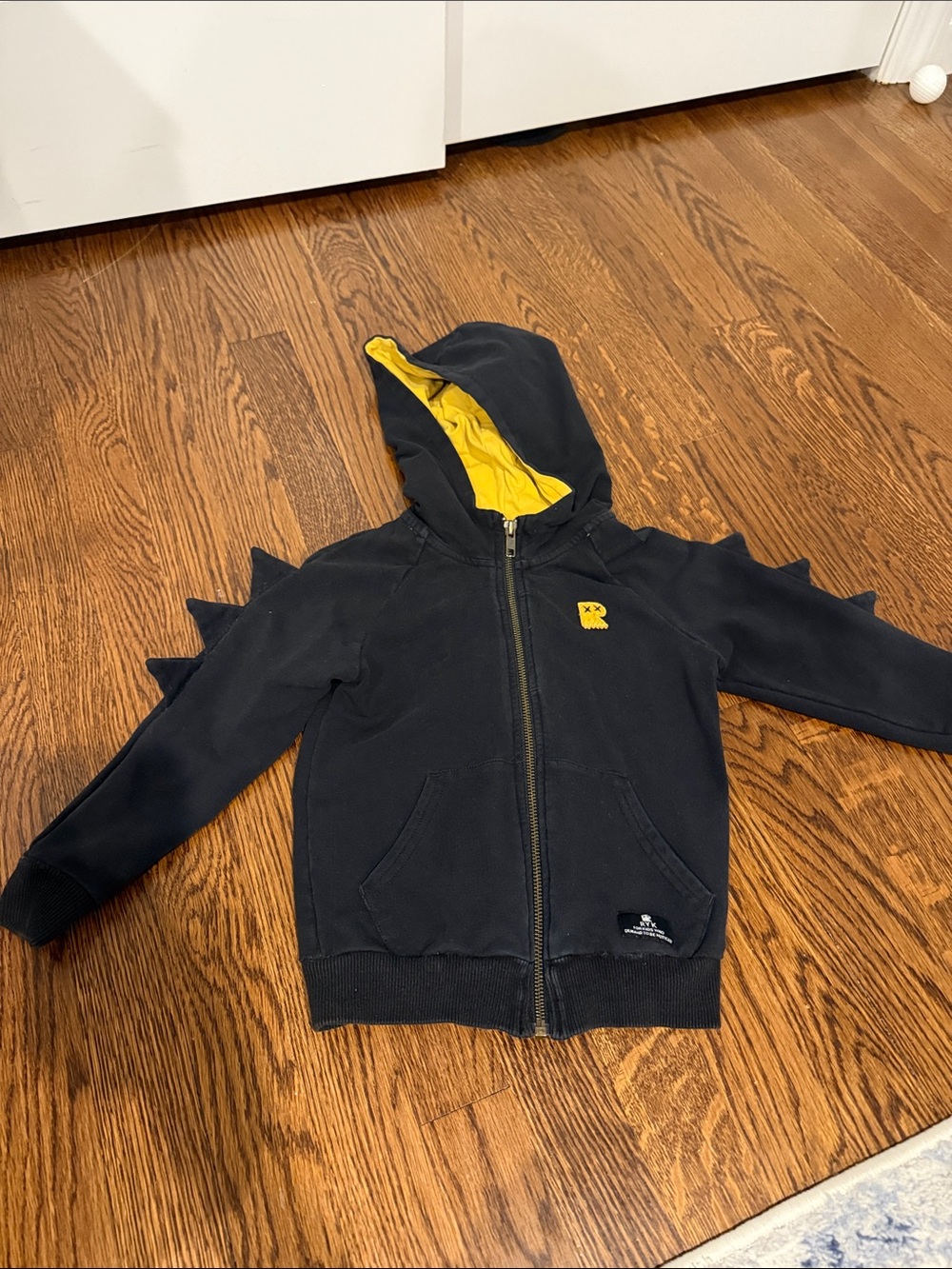 Rock Your Kid Dinosaur Hoodie